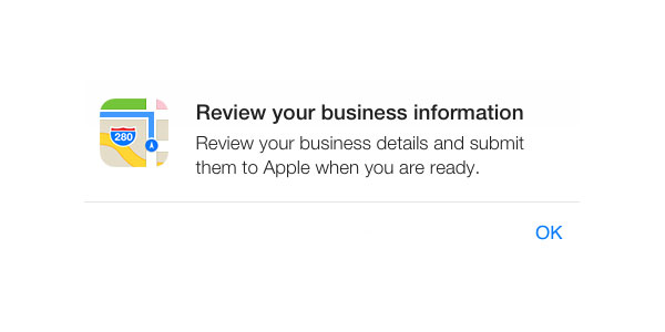 Review Business Details and Submit to Apple